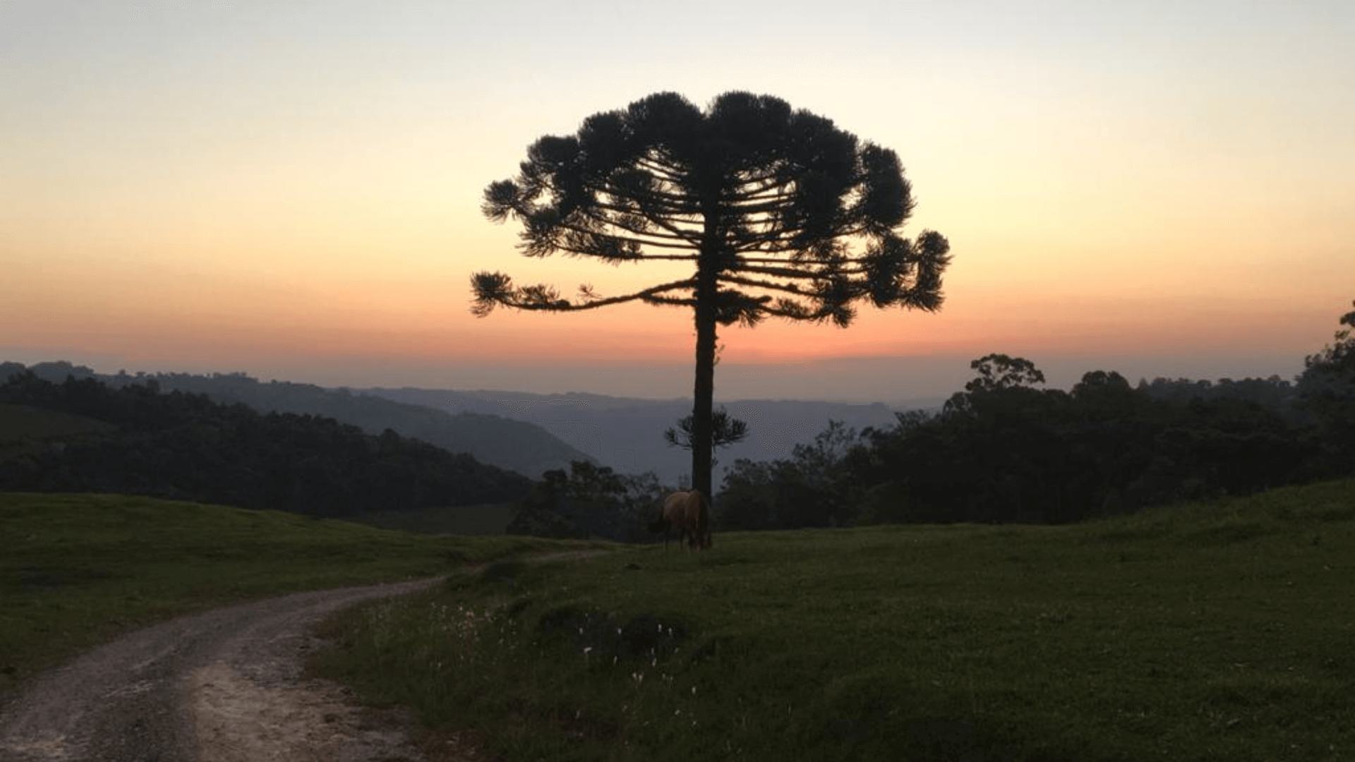 caminhos de pedra