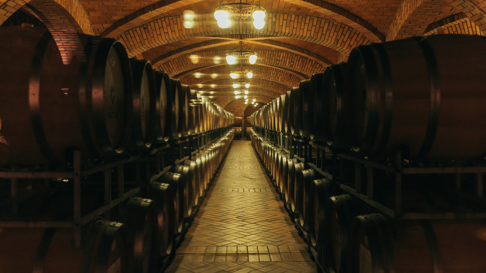 produção de vinhos