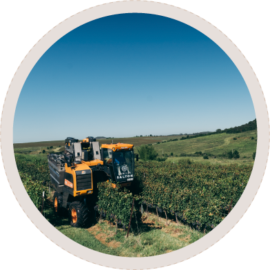 A chegada na Campanha Ga&uacute;cha, a &uacute;ltima &ldquo;fronteira&rdquo; do Brasil