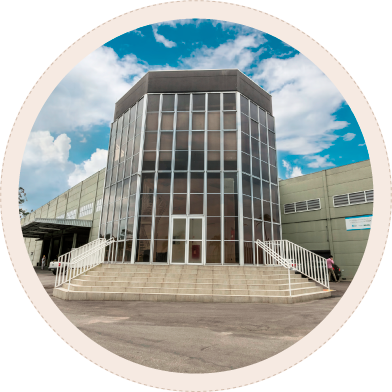 Nuevas unidades de negocio