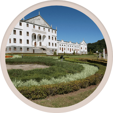 La diversidad como estrategia