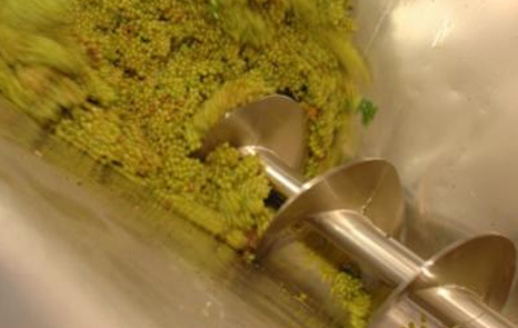 Recebimentos de Uvas