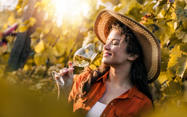 Aromas do vinho – Guia completo