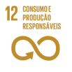 Consumo e produção responsáveis