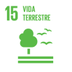 Vida terrestre