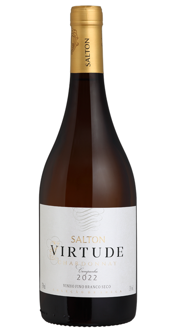 SALTON VIRTUDE