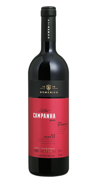 DOMENICO SALTON CAMPANHA MARSELAN / TANNAT