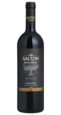 SALTON PARADOXO MARSELAN