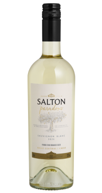 SALTON PARADOXO SAUVIGNON BLANC