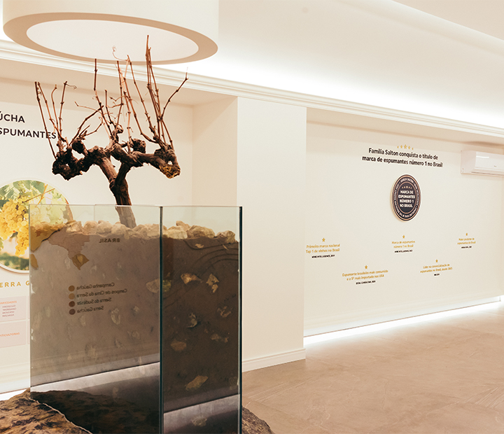 TOUR EFERVESCÊNCIA BRASILEIRA