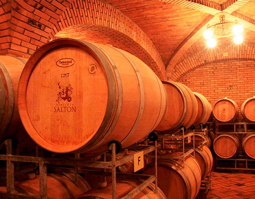 Barricas de vinho Salton