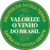 Logo Valorize o Vinho do Brasil, Família Salton